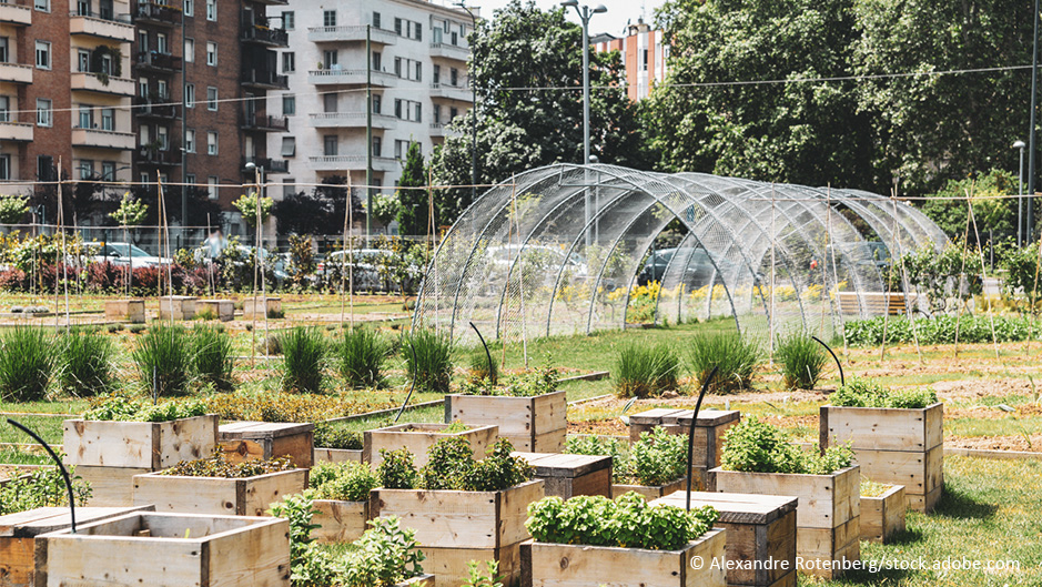 urban farming – Gärtnern direkt in der Stadt