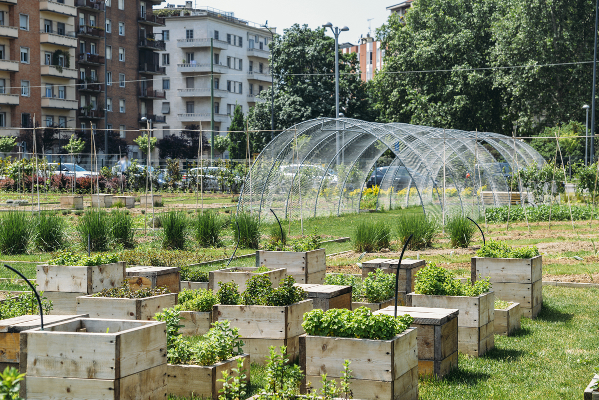 urban farming - Gärtnern direkt in der Stadt