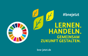 Lernen. Handeln. Gemeinsam Zunkunft gestalten. bne-jetzt.de, daneben grüne Blätter und ein bunter Farbkreis