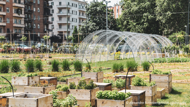urban farming – Gärtnern direkt in der Stadt