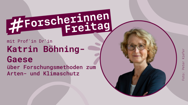 Grafik mit einem Porträt von Katrin Böhning-Gaese und der Aufschrift #ForscherinnenFreitag - Forschungsmethoden zum Arten- und Klimaschutz